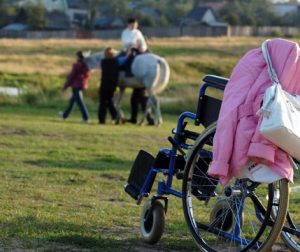 Иппотерапия в Перми